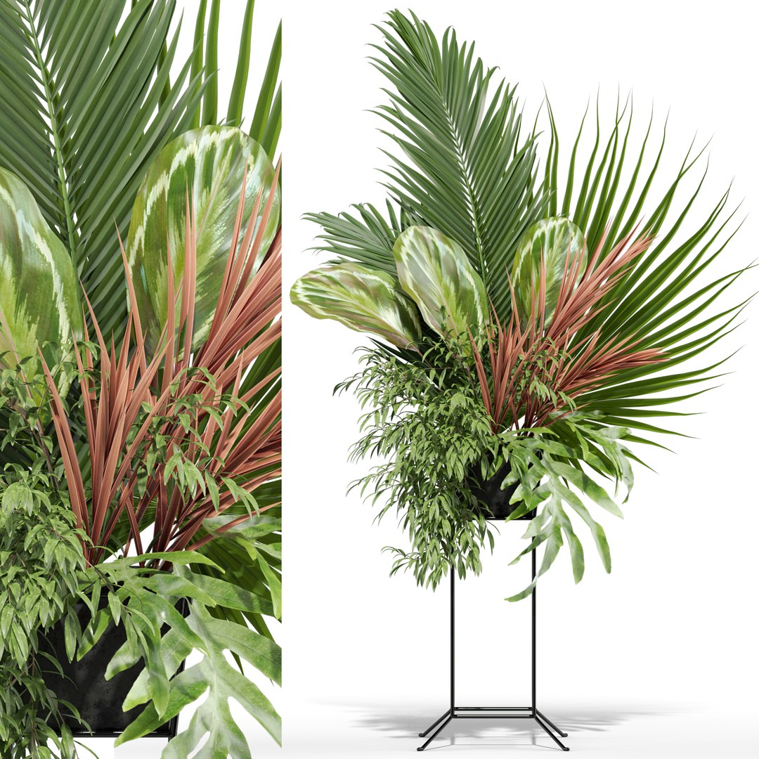 3D model Bouquet 07 https://p.turbosquid.com/ts-thumb/VZ/Rgk23x/vn/bouquet_07_011920width1920px/jpg/1645897618/1920x1080/fit_q87/58a995fcd95f665907cc5d51005ec9da31e505be/bouquet_07_011920width1920px.jpg