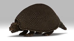 3D glyptodon extinct ice model