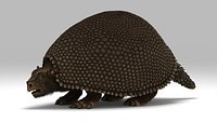 Glyptodon