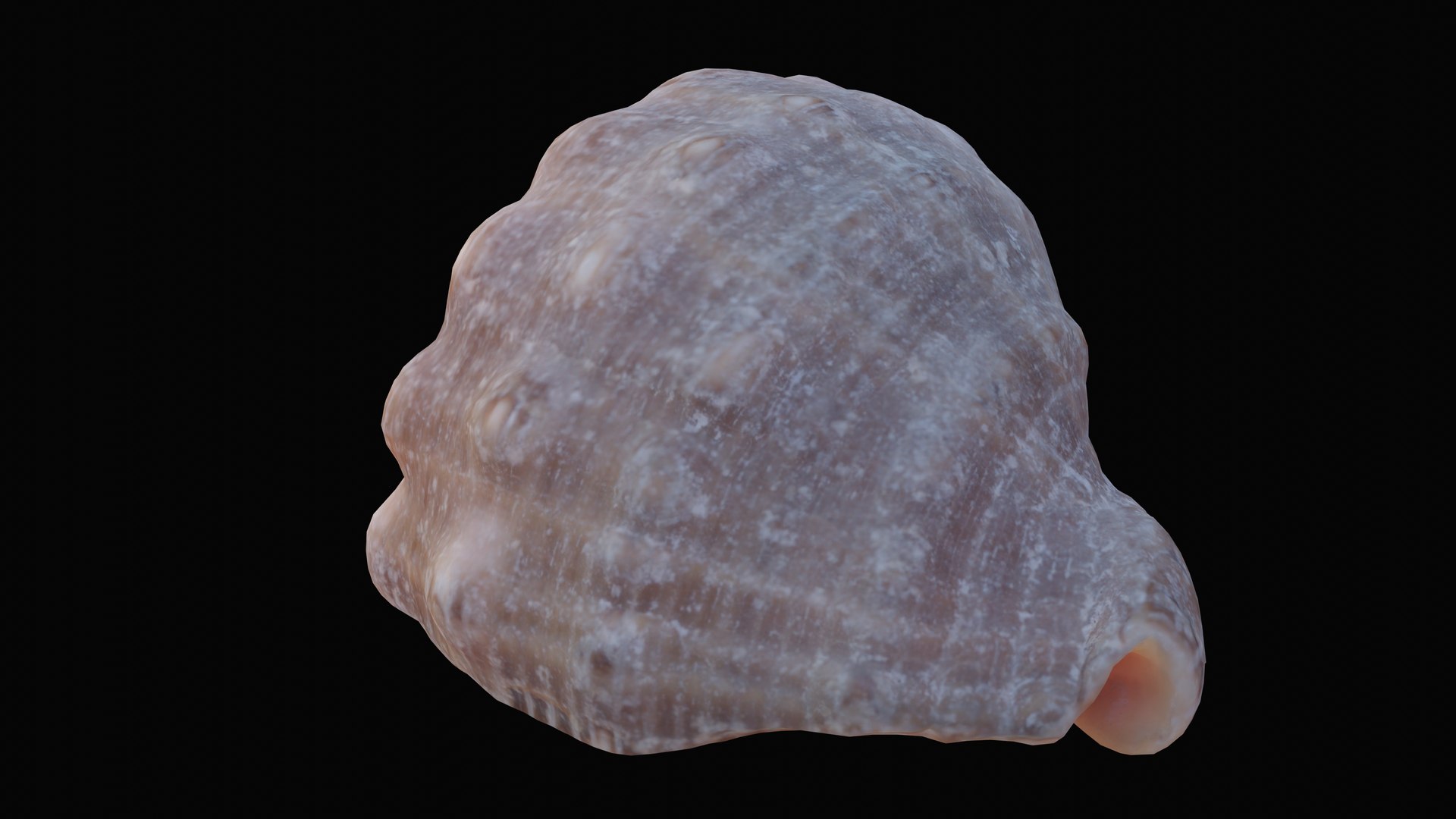 3D model red mouthed rock - TurboSquid 1627567
