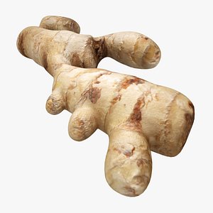 realistic ginger 3ds