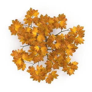 Maple Branch Yellow V3 3D