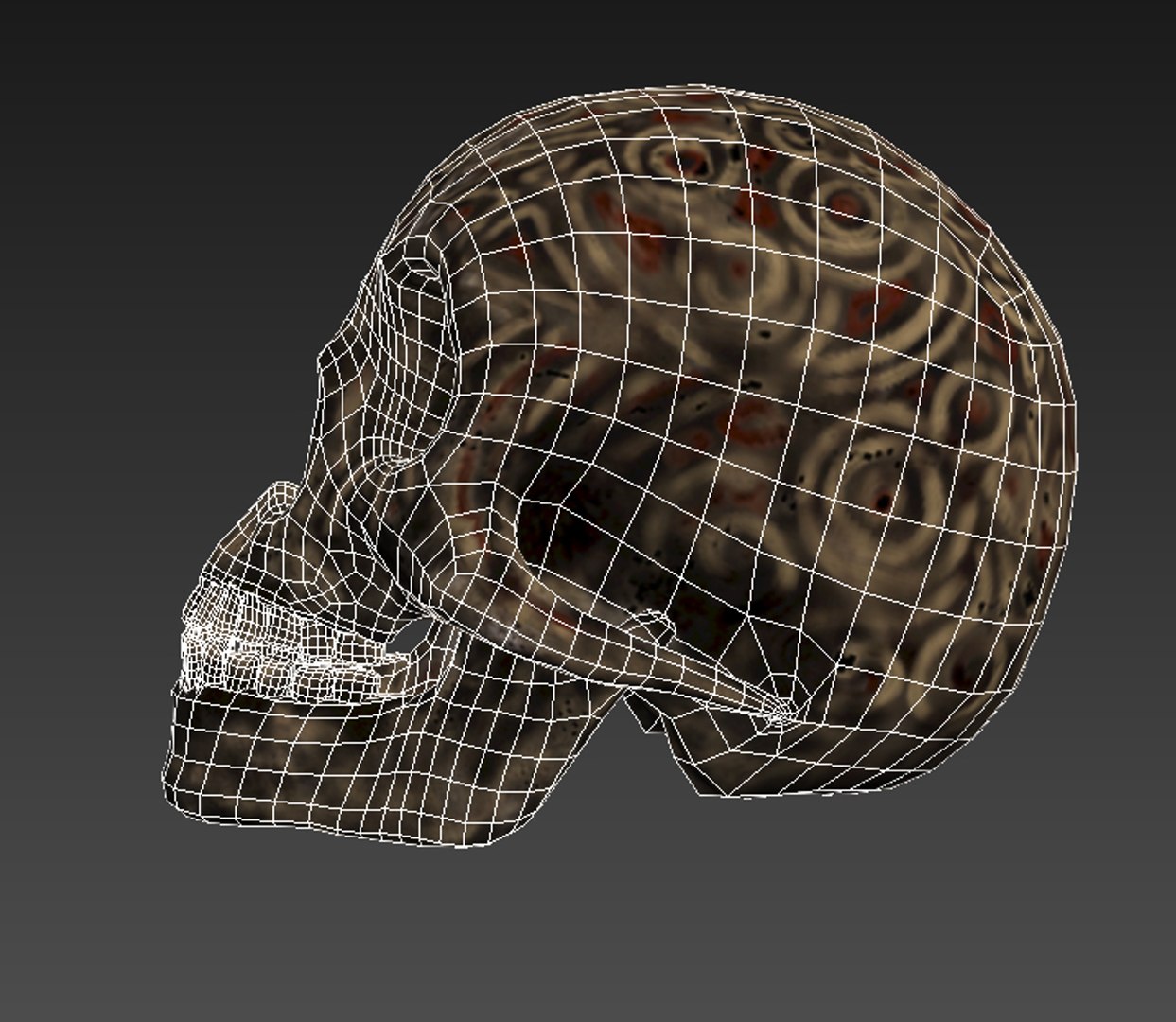 Skull Zbrush 3ds