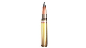 50 BMG Ammo PBR
