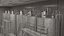 Wine Manufacture Interior