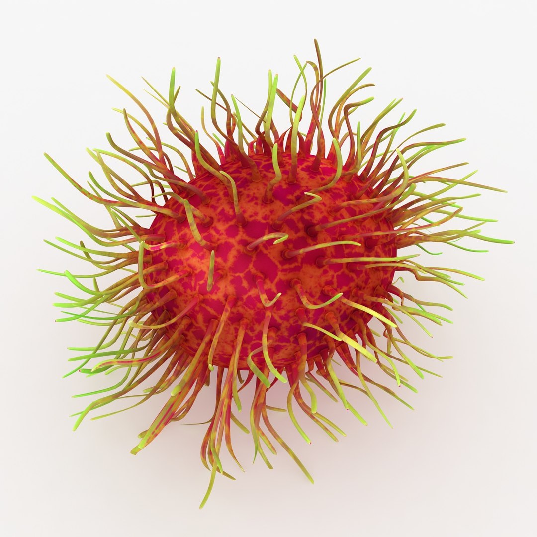 Realistic Rambutan 02 3ds