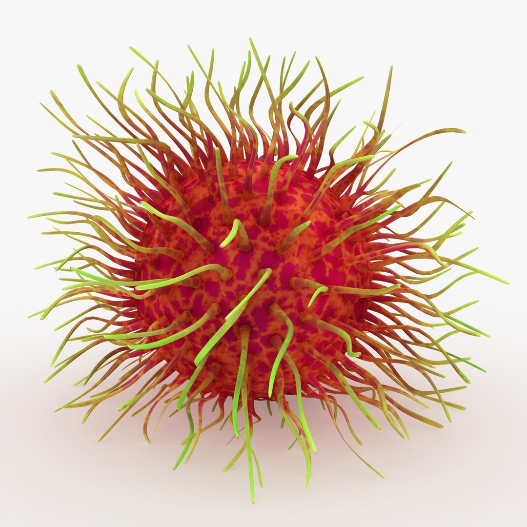 Realistic Rambutan 02 3ds