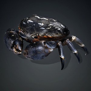 Crab Monster-V1d
