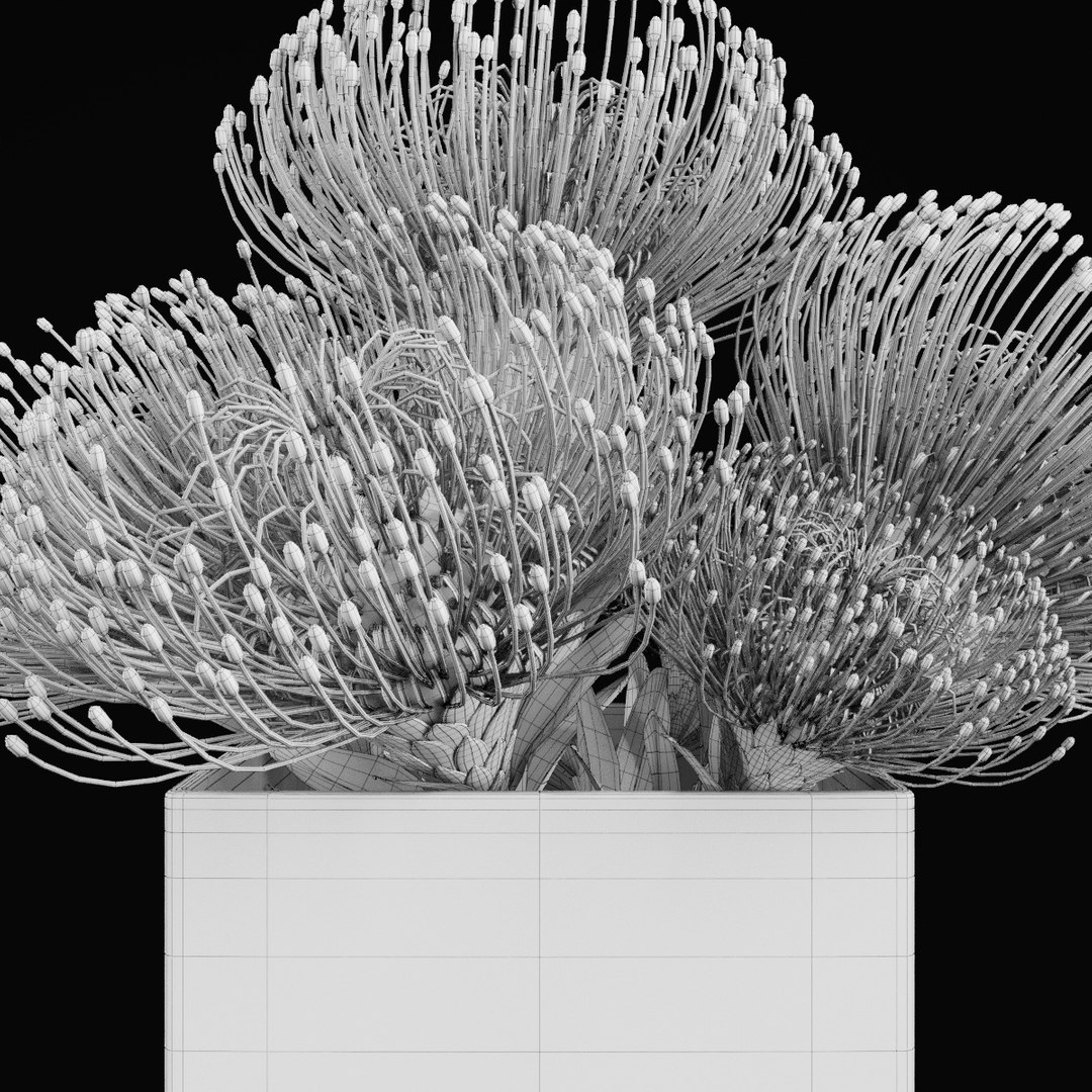 3D plant 2 flowers https://p.turbosquid.com/ts-thumb/Va/Rnk7Fg/14fISvzH/s1/jpg/1568474864/1920x1080/fit_q87/be6560ea48ddddd9d6ee2621cff3b2a0045437a4/s1.jpg