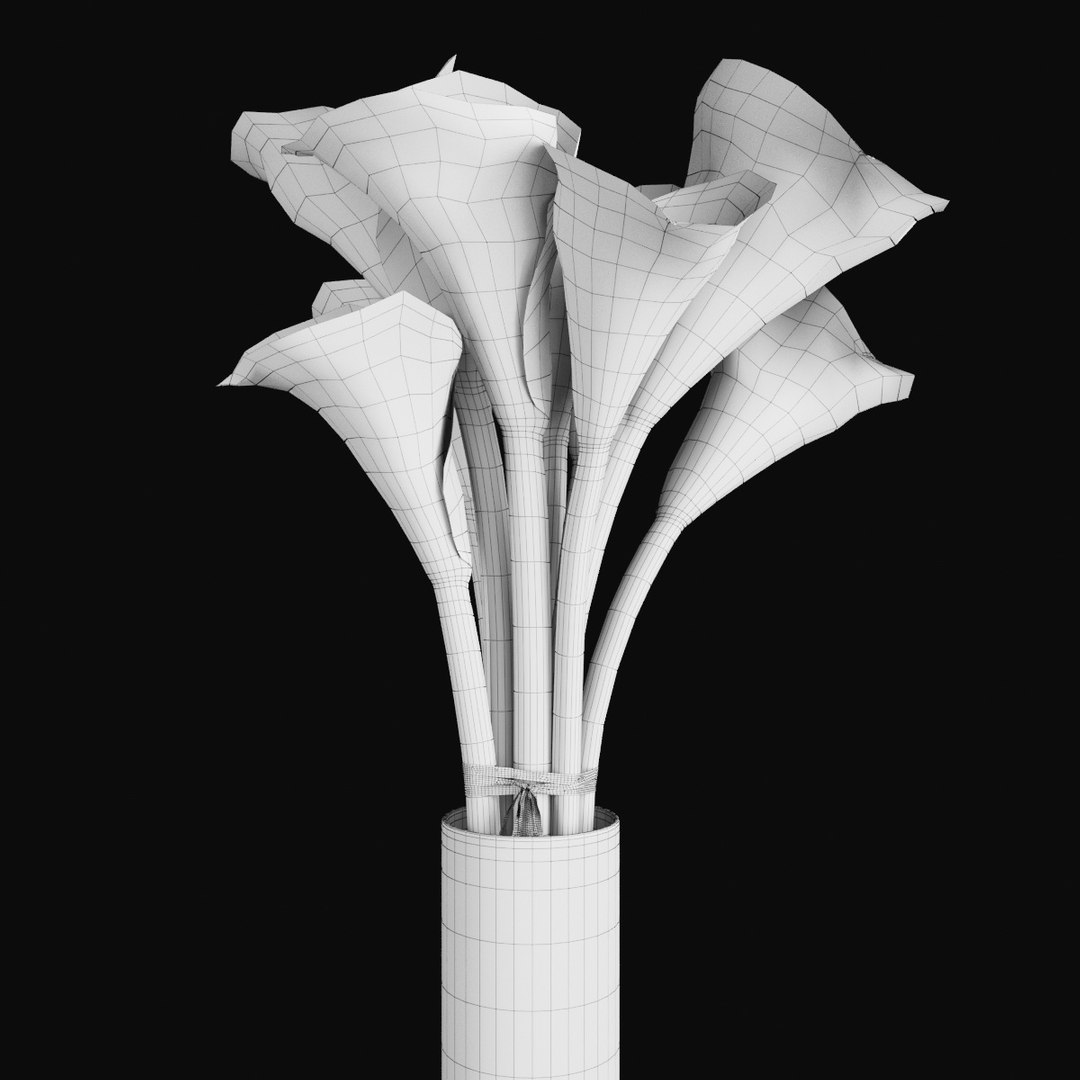 3D plant 2 flowers https://p.turbosquid.com/ts-thumb/Va/Rnk7Fg/2zUIdgpP/s2/jpg/1568474897/1920x1080/fit_q87/7a7941ae620312997737e0f99b6abc83a7e892b8/s2.jpg