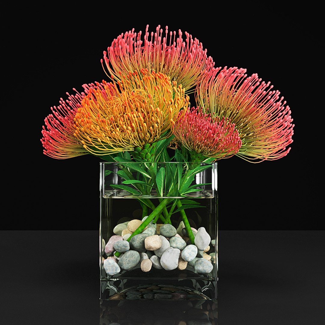 3D plant 2 flowers https://p.turbosquid.com/ts-thumb/Va/Rnk7Fg/6cNYBvdd/pr1/jpg/1568474864/1920x1080/fit_q87/d818ee8924f0d735baaa051969f62312160a191d/pr1.jpg