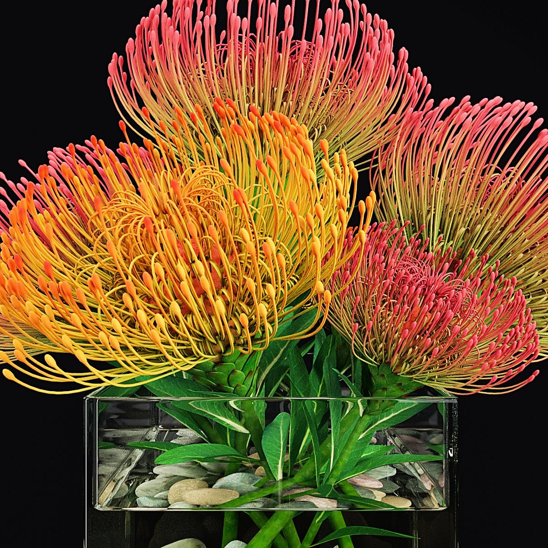 3D plant 2 flowers https://p.turbosquid.com/ts-thumb/Va/Rnk7Fg/GxwLGdAm/pr2/jpg/1568474864/1920x1080/fit_q87/117e17fc3764339ba5729b4dfeb01028fc8a8f43/pr2.jpg