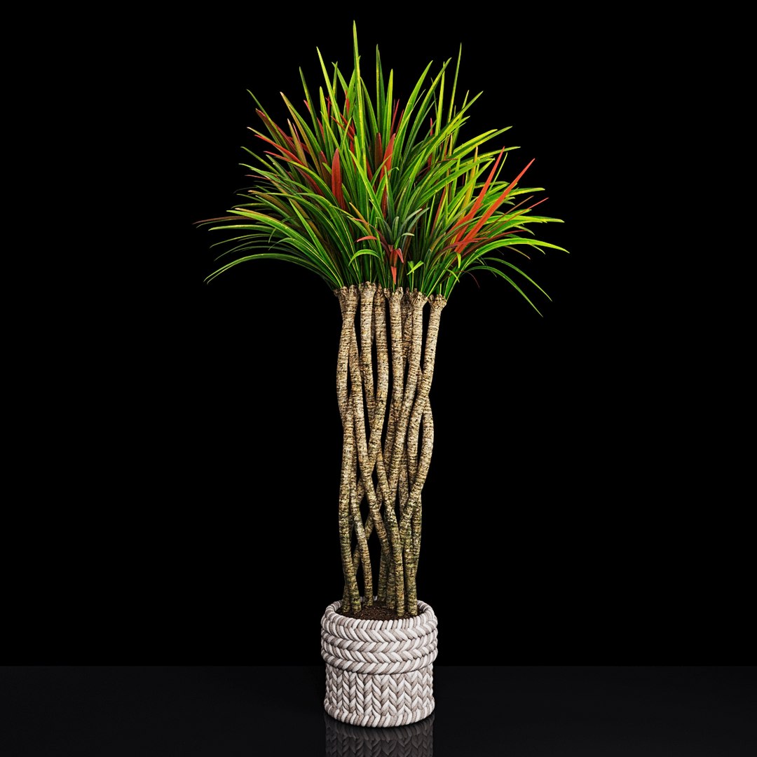 3D plant 2 flowers https://p.turbosquid.com/ts-thumb/Va/Rnk7Fg/IgwD2VAs/p1/jpg/1568474854/1920x1080/fit_q87/57457dae42b11ee92befbf87c023114d073bb568/p1.jpg