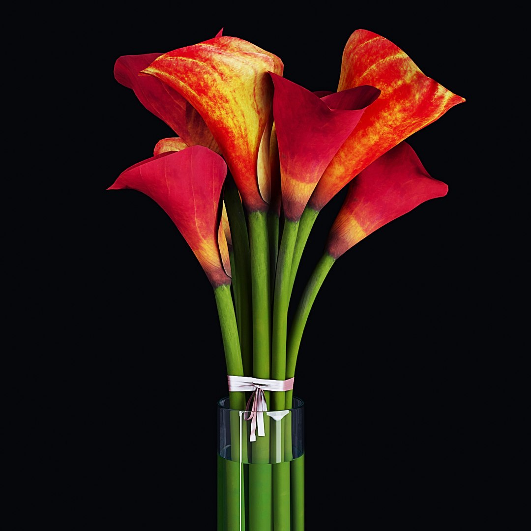 3D plant 2 flowers https://p.turbosquid.com/ts-thumb/Va/Rnk7Fg/MYyRzPZN/p3/jpg/1568474897/1920x1080/fit_q87/bfa0e8cc78250ebaf1cb6a7a8cdefeb497e20a14/p3.jpg