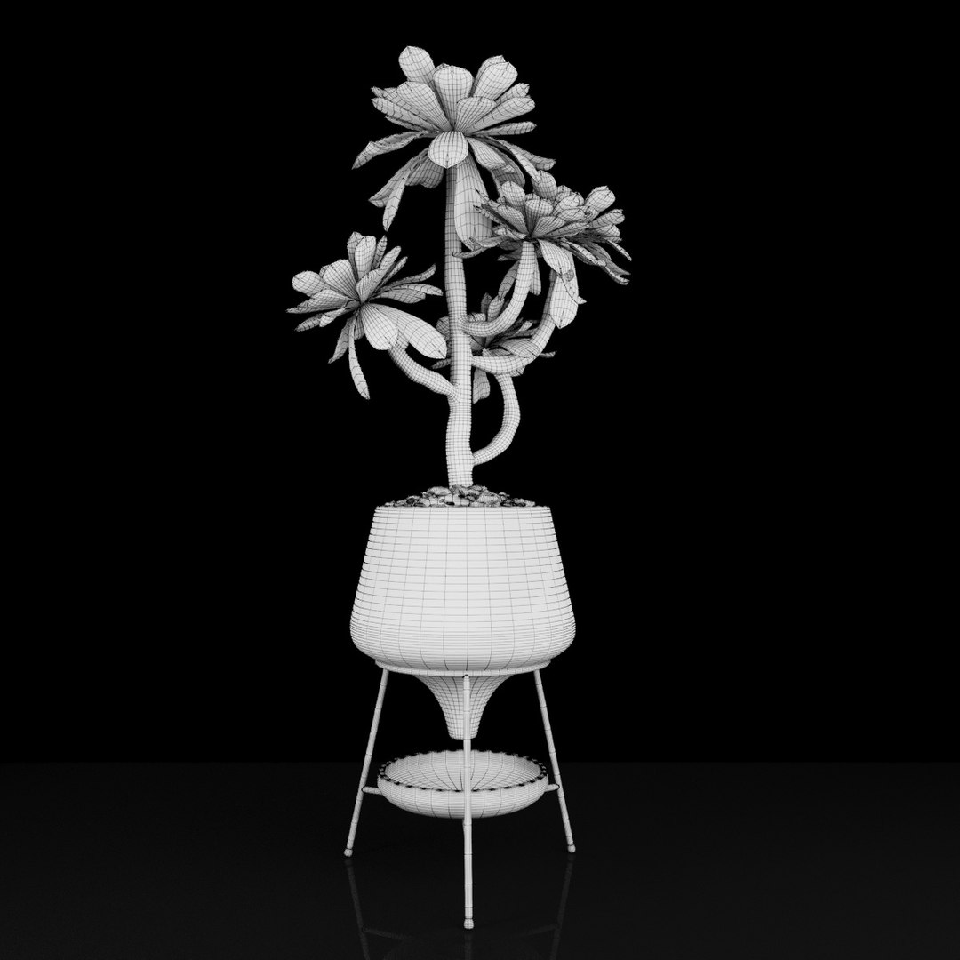 3D plant 2 flowers https://p.turbosquid.com/ts-thumb/Va/Rnk7Fg/PYr6kg3C/s3/jpg/1568474918/1920x1080/fit_q87/2bf96760d3ffa18e0c1037bf7d734122a2e28025/s3.jpg