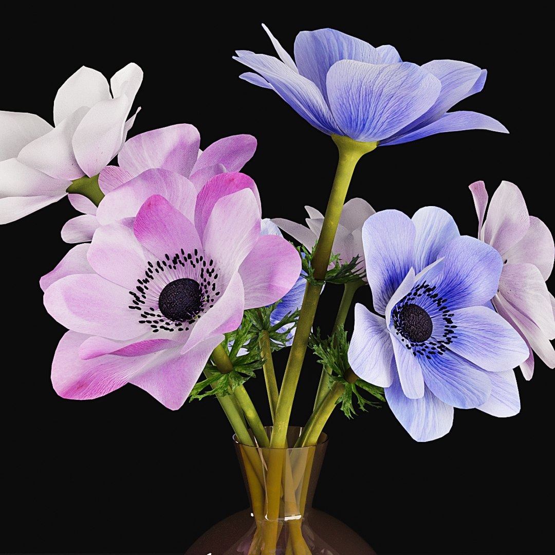 3D plant 2 flowers https://p.turbosquid.com/ts-thumb/Va/Rnk7Fg/UuDCA88e/pr2/jpg/1568474884/1920x1080/fit_q87/53b828008ff0a0478adb434301297098a79973a1/pr2.jpg