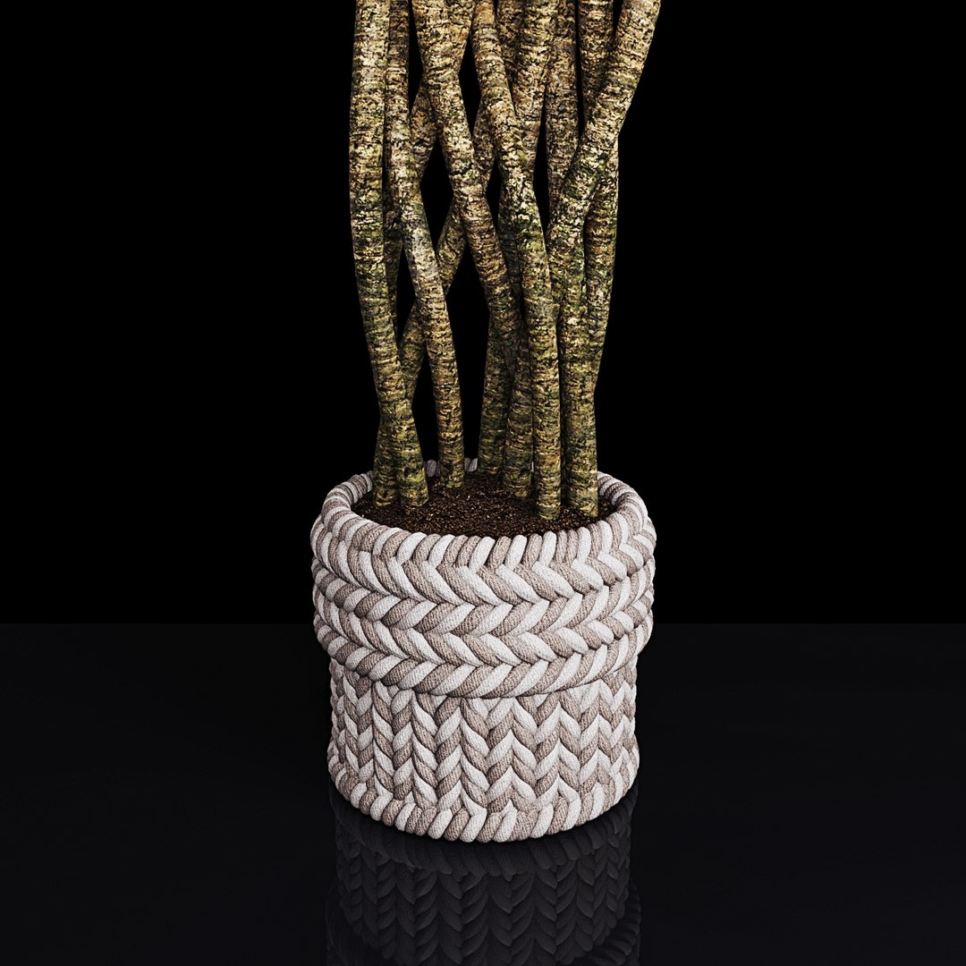 3D plant 2 flowers https://p.turbosquid.com/ts-thumb/Va/Rnk7Fg/W3Mnd8yD/pr2/jpg/1568474854/1920x1080/fit_q87/3092546caa611f4faa049fd530341aa521cbc873/pr2.jpg