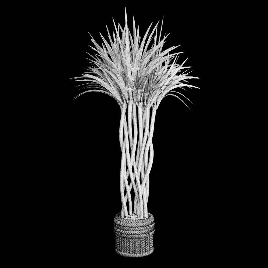 3D plant 2 flowers https://p.turbosquid.com/ts-thumb/Va/Rnk7Fg/cfqzD720/s1/jpg/1568474854/1920x1080/fit_q87/84324929e4afcca613ee0d941db2ae9a7745f5ef/s1.jpg