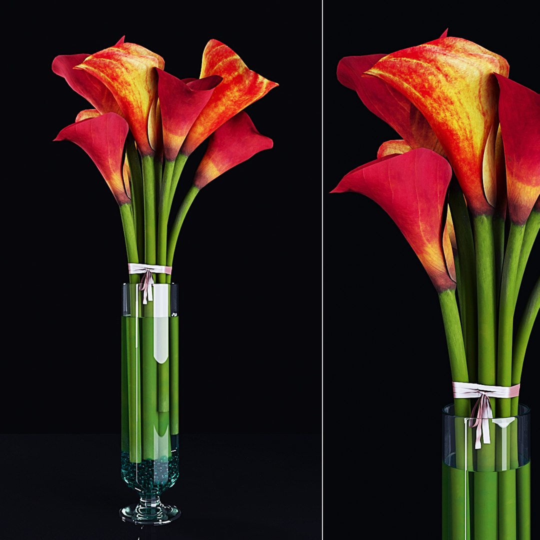 3D plant 2 flowers https://p.turbosquid.com/ts-thumb/Va/Rnk7Fg/jpQdrET0/pr1/jpg/1568474897/1920x1080/fit_q87/a50f435edfce84960c8d463c1937cd1923f496f9/pr1.jpg