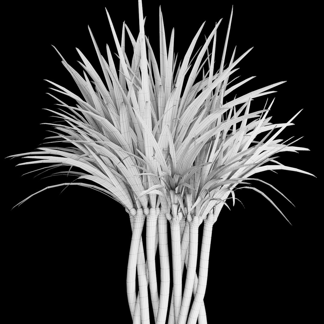 3D plant 2 flowers https://p.turbosquid.com/ts-thumb/Va/Rnk7Fg/muZPIcTp/s3/jpg/1568474854/1920x1080/fit_q87/bc6846dd4b342025f9f08b56c457fc66c1651025/s3.jpg