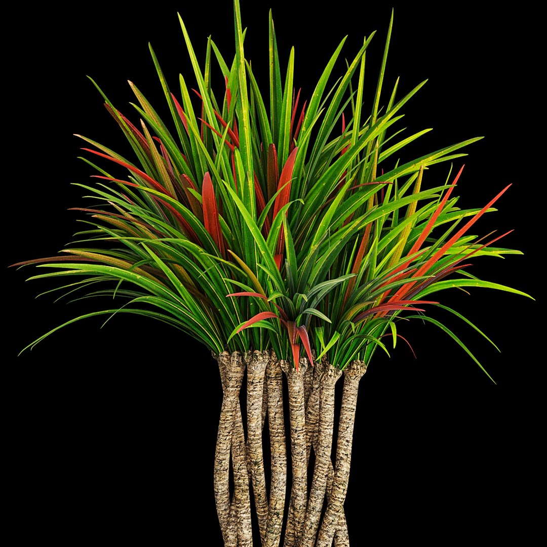 3D plant 2 flowers https://p.turbosquid.com/ts-thumb/Va/Rnk7Fg/xEvZVpJR/pr3/jpg/1568474854/1920x1080/fit_q87/c868fe26b1258b2b209988bc825dd279ecf8707c/pr3.jpg