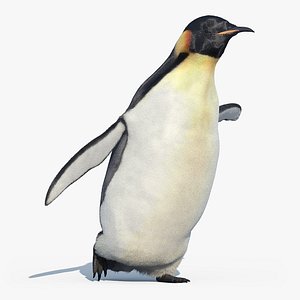 3d emperor penguin fur animation