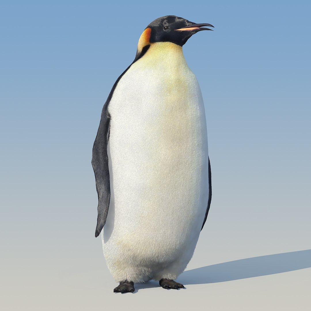 3d emperor penguin fur animation https://p.turbosquid.com/ts-thumb/Va/SZvnRw/uLCtbDXs/penguin_fur_rigged_02/jpg/1475310853/1920x1080/fit_q87/feefe561113026a6b488962061e92393a3ca4942/penguin_fur_rigged_02.jpg