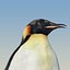 3d emperor penguin fur animation