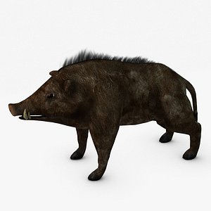 3dsmax wild boar