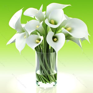 3d model realistic flowers calla lily