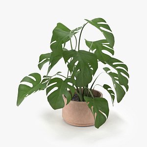 plant 3d max