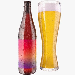 Beer and Bottle Collection