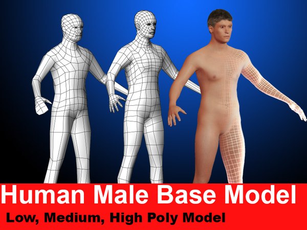 max male base modeled