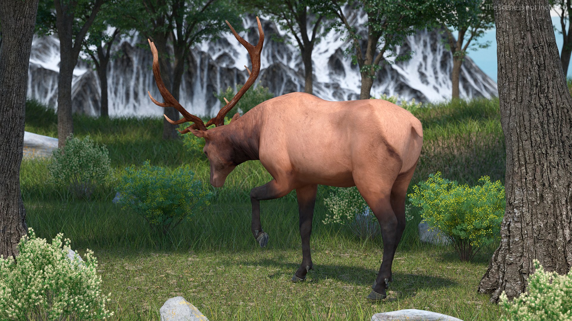 Realistic Elk Rigged 3D Model - TurboSquid 2266958