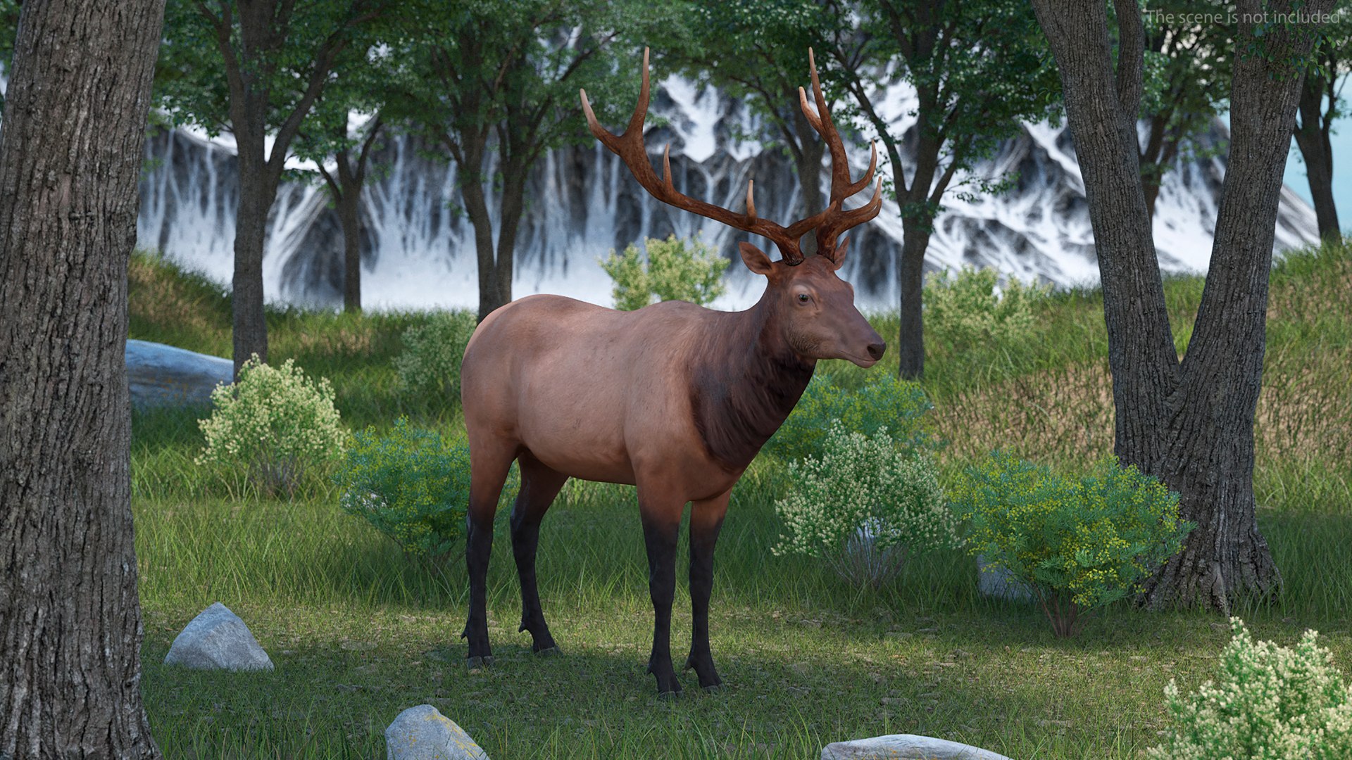 Realistic Elk Rigged 3D Model - TurboSquid 2266958