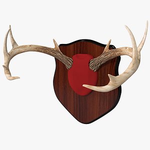 Mounted Deer Antlers