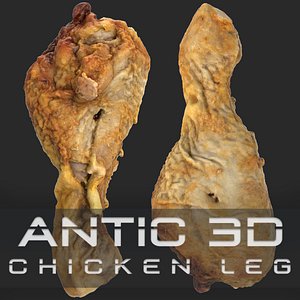 Chicken leg