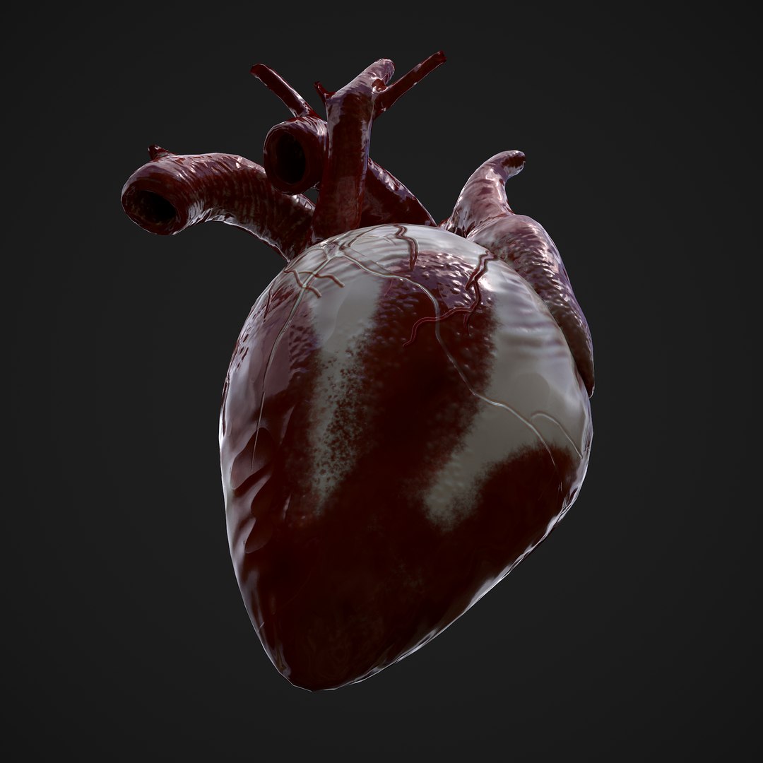 3d Heart Turbosquid 1734085