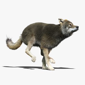 gray wolf 3 fur max