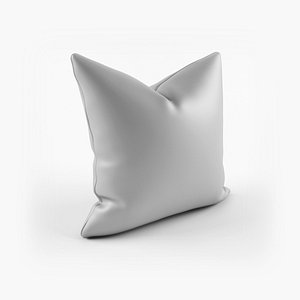 Cushion