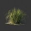 3D cortaderia selloana wind animation model