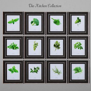 The Kitchen Collection