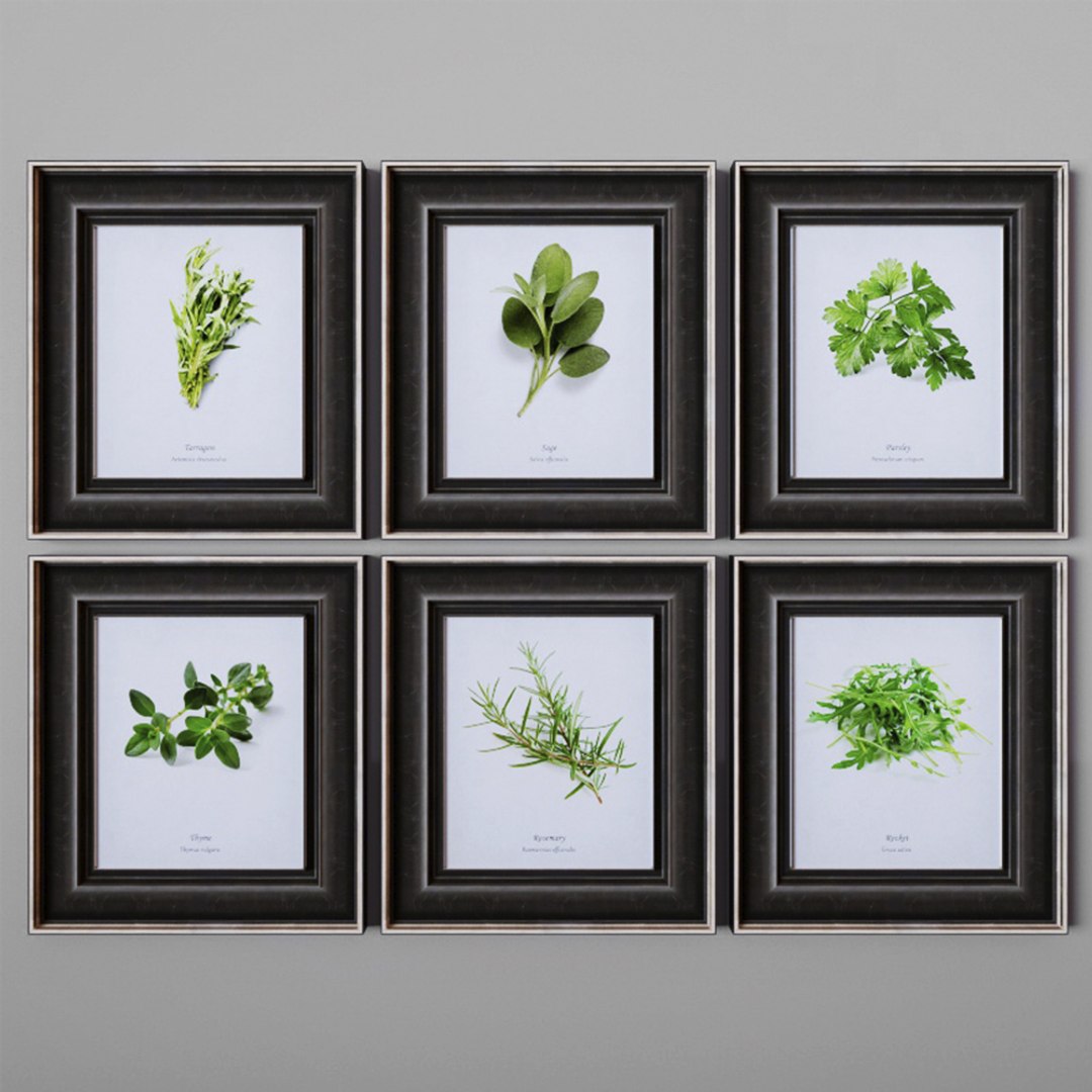 3D kitchen https://p.turbosquid.com/ts-thumb/Vb/WWiqDG/teZx5AdO/3/jpg/1530703542/1920x1080/fit_q87/562d821b1cbaa8348f8a409e02cea719b6c377ea/3.jpg