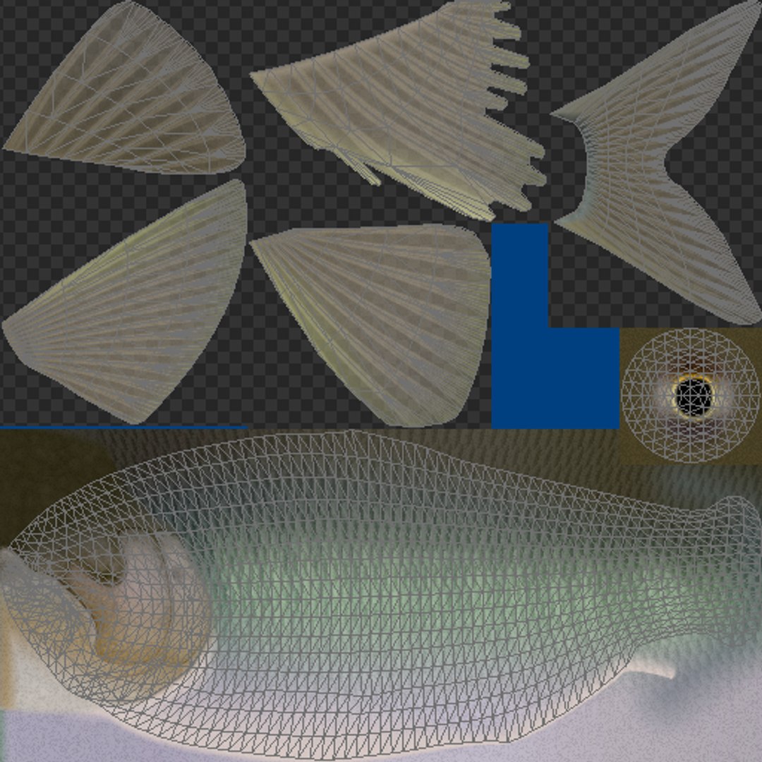 3d 3ds Opsariichthys Hasu