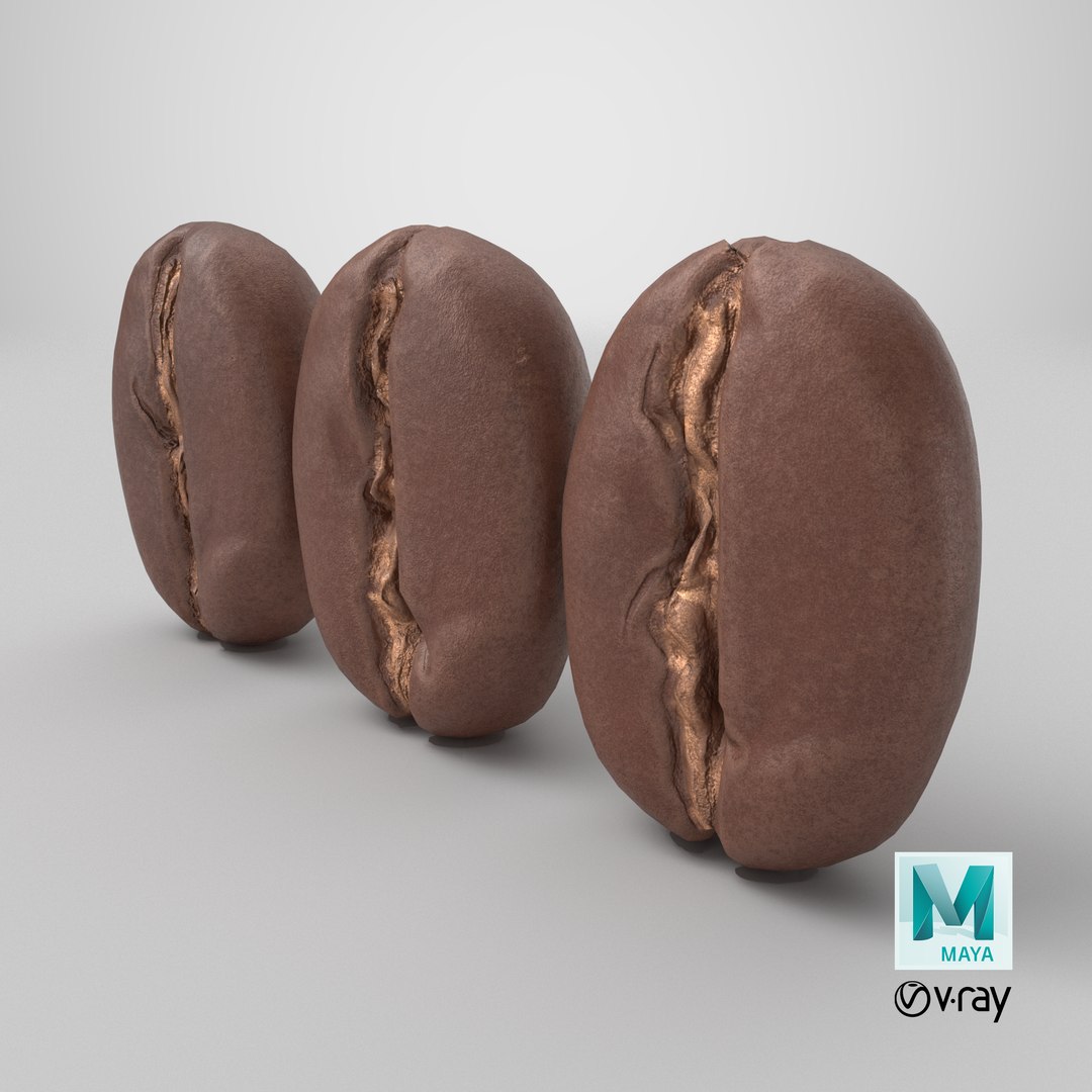 coffee beans 3D model https://p.turbosquid.com/ts-thumb/Vb/qOAuUs/GZ/stemcell_maya_vray_render/png/1714666786/1920x1080/fit_q87/3cbbc63fac129aa2ef6c57202ca3cf268c9ed55f/stemcell_maya_vray_render.jpg