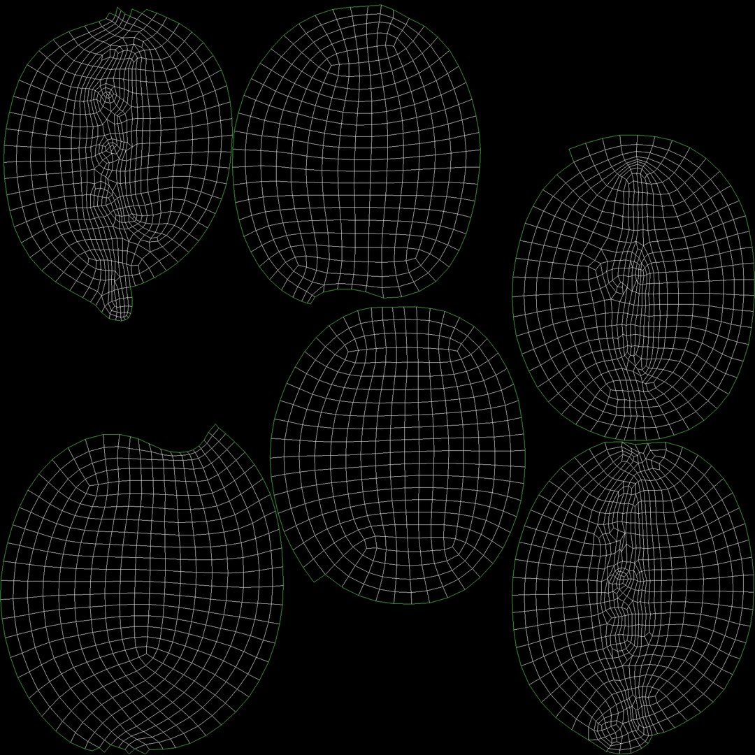 coffee beans 3D model https://p.turbosquid.com/ts-thumb/Vb/qOAuUs/hY9Gm8NB/uvw_01/jpg/1591134590/1920x1080/fit_q87/0cfae82ca644251174086b29b5769aee7fd9de7f/uvw_01.jpg