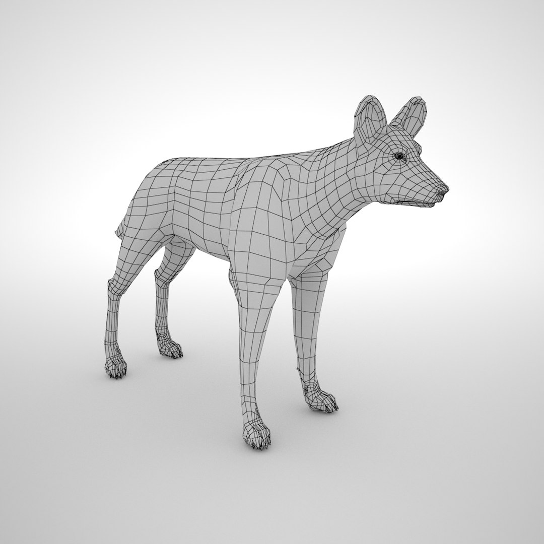 3D African Wild Dog Model - TurboSquid 1176214