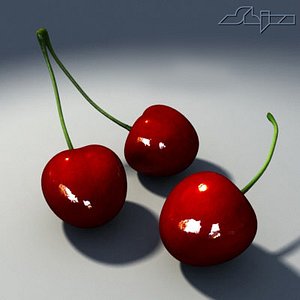 cherry fruit 3d model