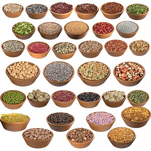 Seeds Grain Beans Nuts Mega Bowl collection 3D