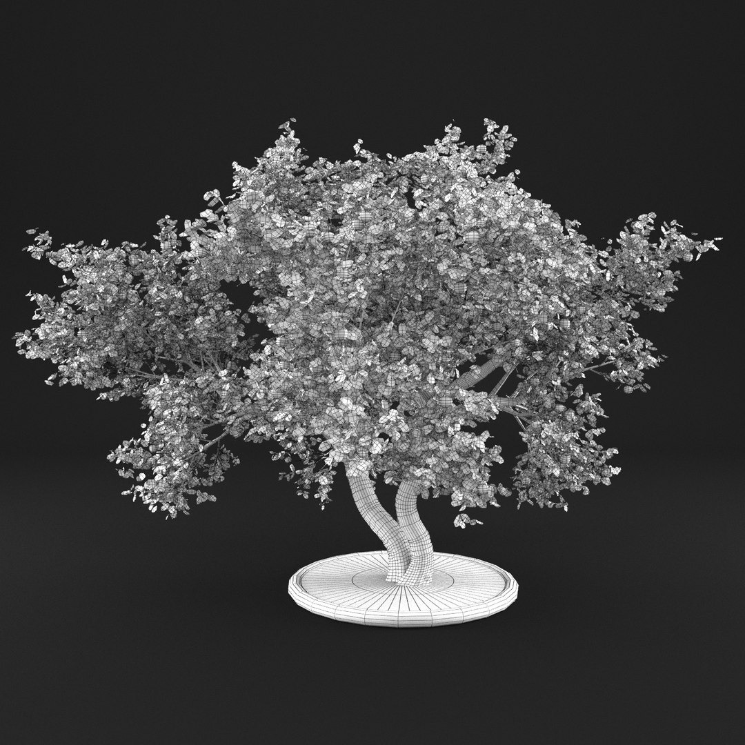 3D apple tree https://p.turbosquid.com/ts-thumb/Vc/Gc1fK7/Kdiq4LXi/20005/png/1495363312/1920x1080/fit_q87/a11192a0455470c5b09ef7d8e2f71b80a22f2b46/20005.jpg